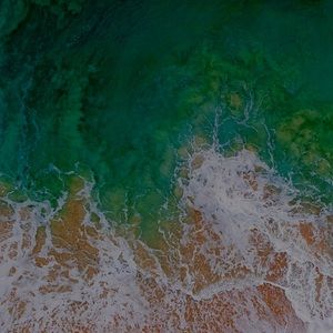 Meet your Posher, Armando